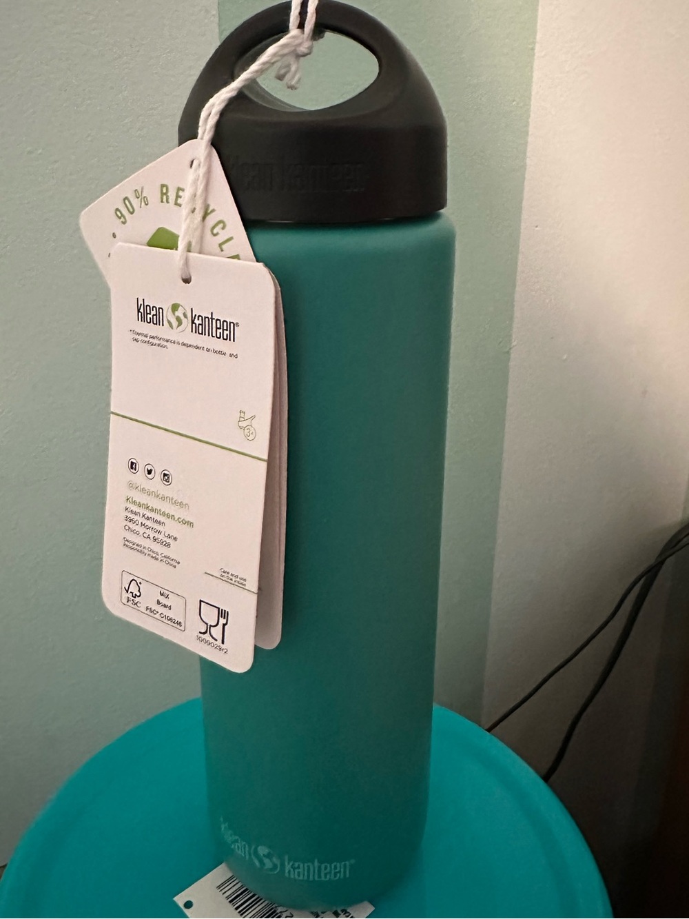 Klean Kanteen Teal Stainless Water Bottle with Loop Cap